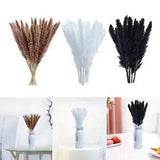 Dried Pampas Grass Phragmites Reed Flower Bunch Bouquet Home