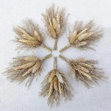 Mini Dried Flower Bouquet Set of 6 for Boho Floral Wedding, Table Brown