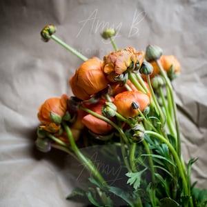 Coral Ranunculus Flower Blossom Bouquet Kraft Paper Fine Art Photography Print - Vibrant Colorful Mounted Ready to Display in Home or Office