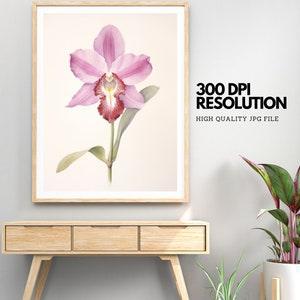 Pink Orchid Plan Printable, Minimalist Orchid Print, Floral ?llustration, Botanical Wall Art, Plant Leaf Prints, Vintage Painting,Room Decor
