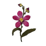 ID 6457 Pink Lace Orchid Flower Patch Iris Garden Embroidered Iron On Applique