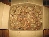200 Southern Magnolia Seed Pods