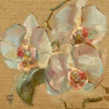 White Orchid, House plant, no watering involved, beautiful flower art, summer decor