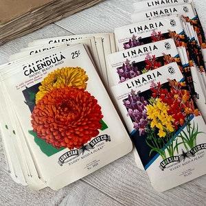 Vintage seed packs, unused NOS envelope, Ephemera organizer, Junk journal pocket
