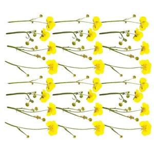 24 Pcs Dry Flower Embossing Material DIY Dried Flowers Real Petal
