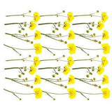 24pcs Artificial Flower Craft DIY Dried Flowers Dried Pressed Leaves