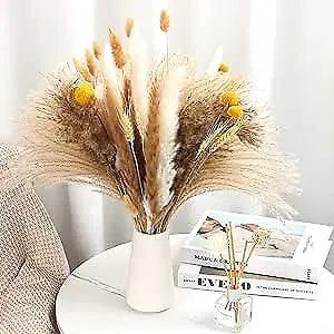 New Listing 107 Pcs 17.5 inch Natural Dried Pampas Grass D???cor,Dried Flower Bouquet for