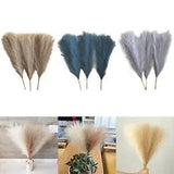 3x Dried Pampas Grass Reed Flowers Party Decor for Vase Wedding Living Room