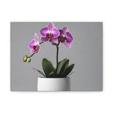 Rare orchid minimalist art Matte Canvas,  Stretched, 1.25" home decor