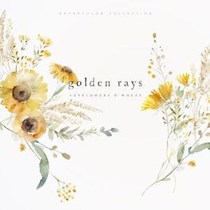 Sunflowers Clipart - Watercolor Sunflowers - Wheat Sunflowers Clipart - Summer Clipart - Sunflowers - Premade Clipart - Watercolor Clipart