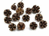 Lucia crafts 20pcs/lot Random Size Natural dried flowers Nutshell Handmade candy