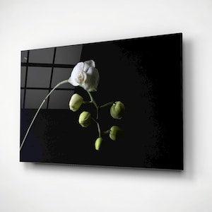 White Orchid Blossom Wall Art, Glass Minimalist Floral Bedroom Decor, Blooming Flower Buds Print, Spa Salon Decoration