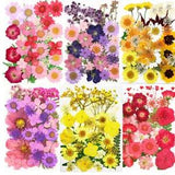 Real Dried Press Flowers for DIY Resin Jewelry Making Decors Candle Making Craft