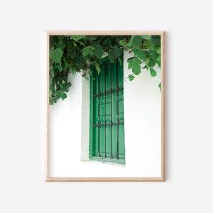 Print of a Green Window in Granada, Spain, Window Photography, Travel Photography, Europe, Art Prints, Vines, Leaves, Green Art
