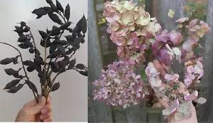 Natural Dried Flowers & Seed Pods from Our 2023 Indiana Homestead Gardens