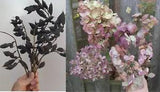 Natural Dried Flowers & Seed Pods from Our 2023 Indiana Homestead Gardens