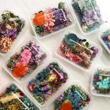 Real Dried Flowers Plants Pressed For Resin Jewellery Making Craft DIY AcceZNb$