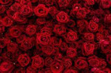 Premium Photo | Background texture of red blossom roses. red rose is meaning love and romantic Flower Delivery