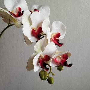 Pierced Heart Jumbo Orchid