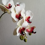 Pierced Heart Jumbo Orchid