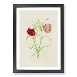 Illustration of Pink Carnation Flowers Framed Wall Art Print Picture Large