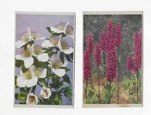 4 Vintage Postcards ** BEAUTIFUL FLOWERS* Lilies plus others I don't know!