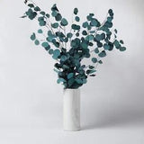 Round Leaf Yunnan Perpetual Fresh Flower Bouquet Leaf Dried Flowers Decorations