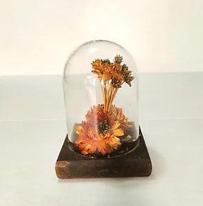 VINTAGE LEONARD CREATIONS DRIED FLOWERS UNDER GLASS DOME ON WOOD BASE