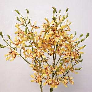 Faux Dendrobium Orchid Stems, Artificial Flower Crafts, Living Room Floral Decor, Wedding Party Bloom Arrangement, Dining Table Centerpieces