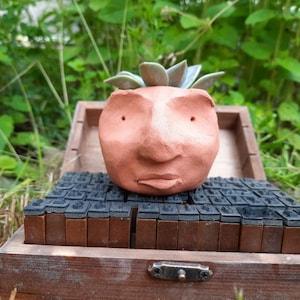 Small face planter / succulent not included