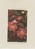 1972 Trucards Flowers Peony (Paeonia) #10 z6d