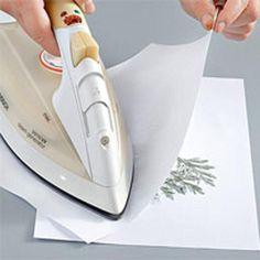 12 techniques pour faire s??cher les fleurs et v??g??taux ?? thingstobloom Flower Delivery