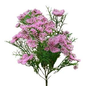 Queens Lace Artificial Flowers Seeded Eucalyptus for Wreath Making Craft Supplies For Floral Arrangements DIY Wedding Flowers Decorating