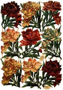 Carnation flowers, paper scraps, complete sheet, Tuck Gigantic Relief 700
