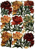 Carnation flowers, paper scraps, complete sheet, Tuck Gigantic Relief 700