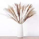 NEW LISTING100PCS Natural Dried Pampas Grass Bouquet, Dried Flowers for Boho Home 100pcs