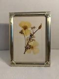 Pressed Flowers In Frame