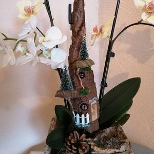 Orchids & plants decoration/spit hut with fir trees