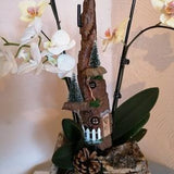 Orchids & plants decoration/spit hut with fir trees