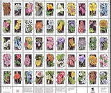USA 1992 Wild Flowers/Plants/Nature/Orchids/Cacti/Lily/Poppy 50v sht (n44359)