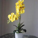 Handmade Orchid