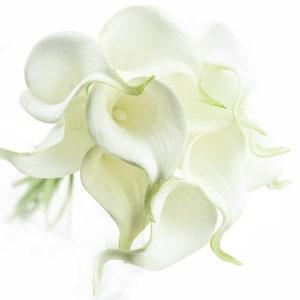 FiveSeasonStuff 10 Stems Real Touch (White & White Pistil) Calla Lilies Artificial Flower Bouquet, Wedding, Bridal, Party, Home D¡§?cor DIY