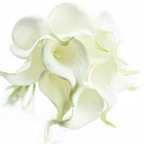 FiveSeasonStuff 10 Stems Real Touch (White & White Pistil) Calla Lilies Artificial Flower Bouquet, Wedding, Bridal, Party, Home D¡§?cor DIY