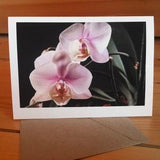Orchids 5x7 greeting card