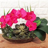 Gorgeous Faux phalaenopsis, orchid, rubber succulent, Echeveria, moss, black river rocks. Resin black and gold vase.
