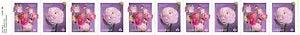 CANADA 2023 RANUNCULUS GUTTER STRIP OF 10 MINT COIL STAMPS FLOWERS SPRING GARDEN