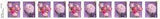 CANADA 2023 RANUNCULUS GUTTER STRIP OF 10 MINT COIL STAMPS FLOWERS SPRING GARDEN
