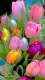 Easy spring gardening tips to get started with - Gardening Site Flower Delivery