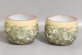 Two rare Chinese porcelain subshrubby peony flower design bowls