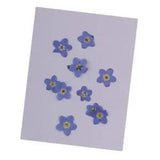 10x Natural   Flowers Pressed Dried Flowers for Resin Jewelry